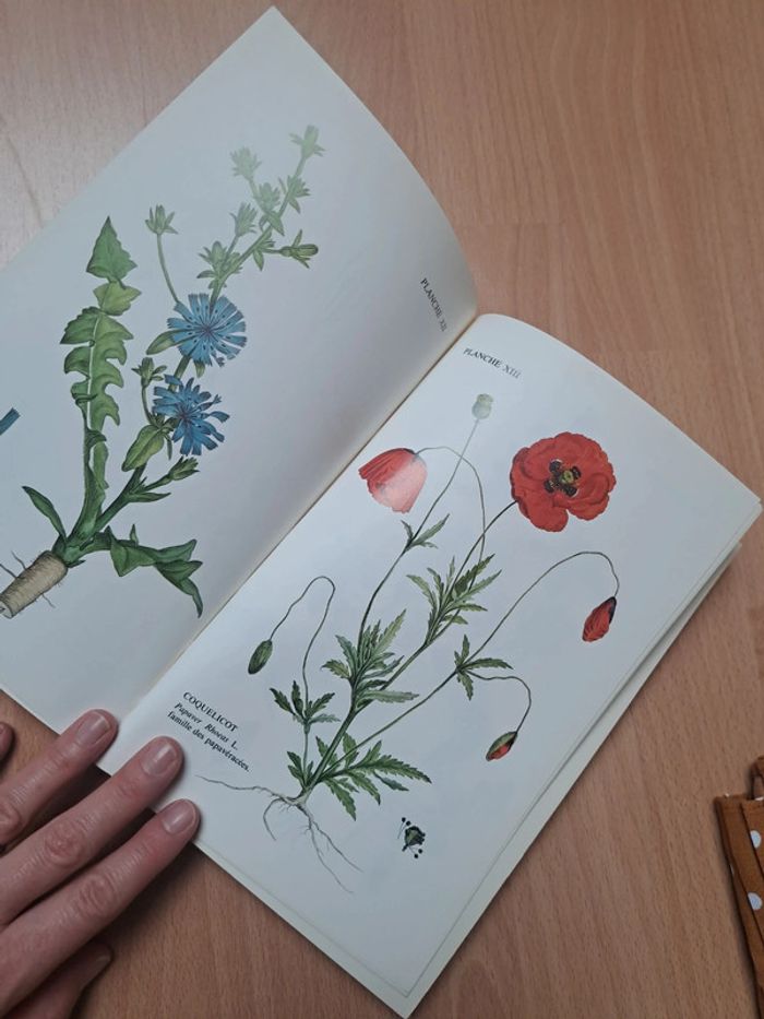Mon herbier de santé Maurice Mességué - photo numéro 6