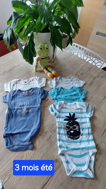 Lot bodies manches courtes