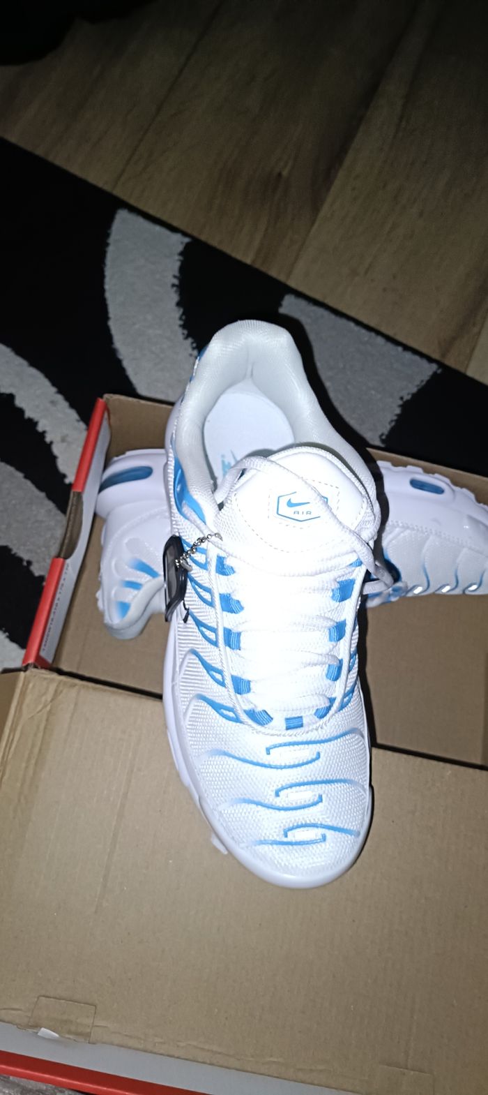 Nike tn pointure 42 - photo numéro 2