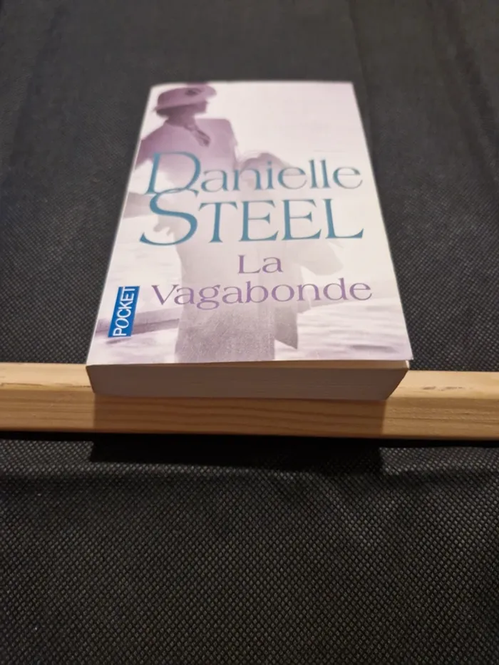 La vagabonde - Danielle Steel - photo numéro 2