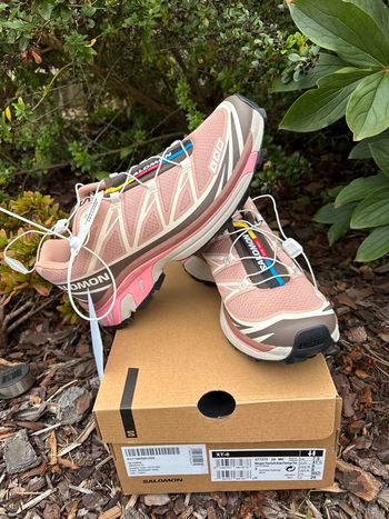 Salomon XT-6 Mahogany rose