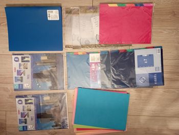 Lot de pochettes intercalaires classeur Carrefour neuf