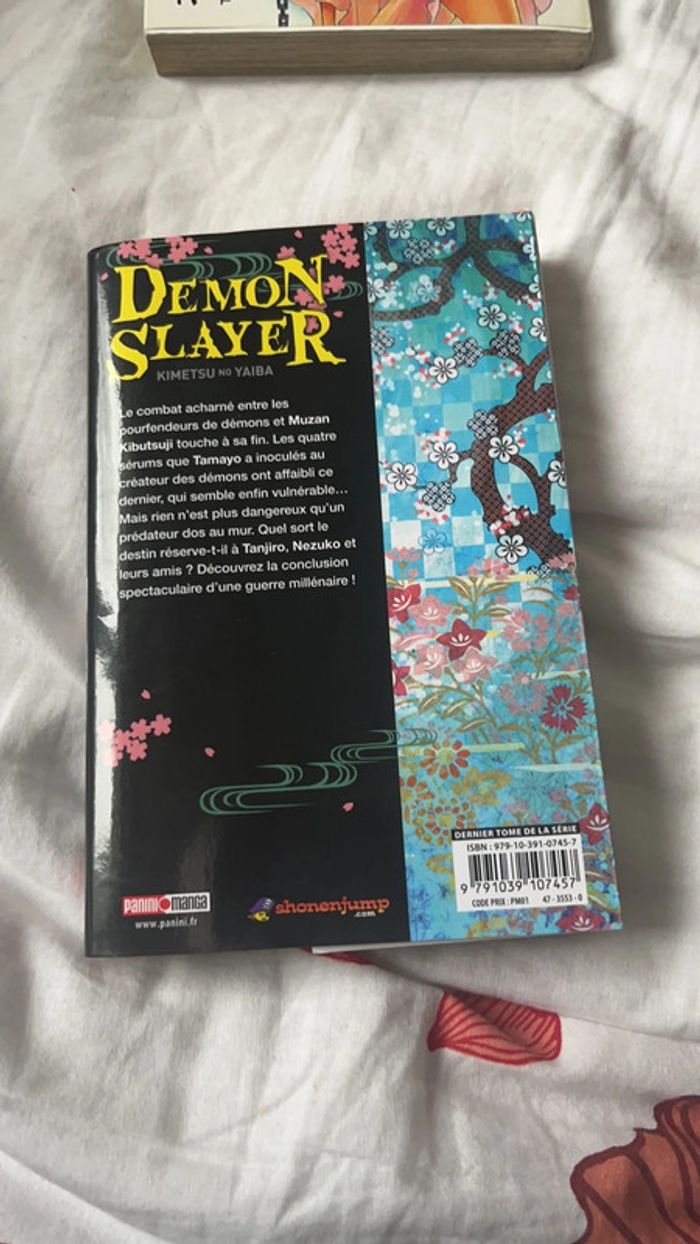 Daymon slayer 23 - photo numéro 2