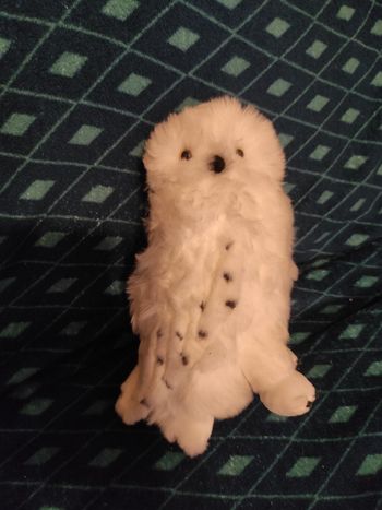 (4) peluche 