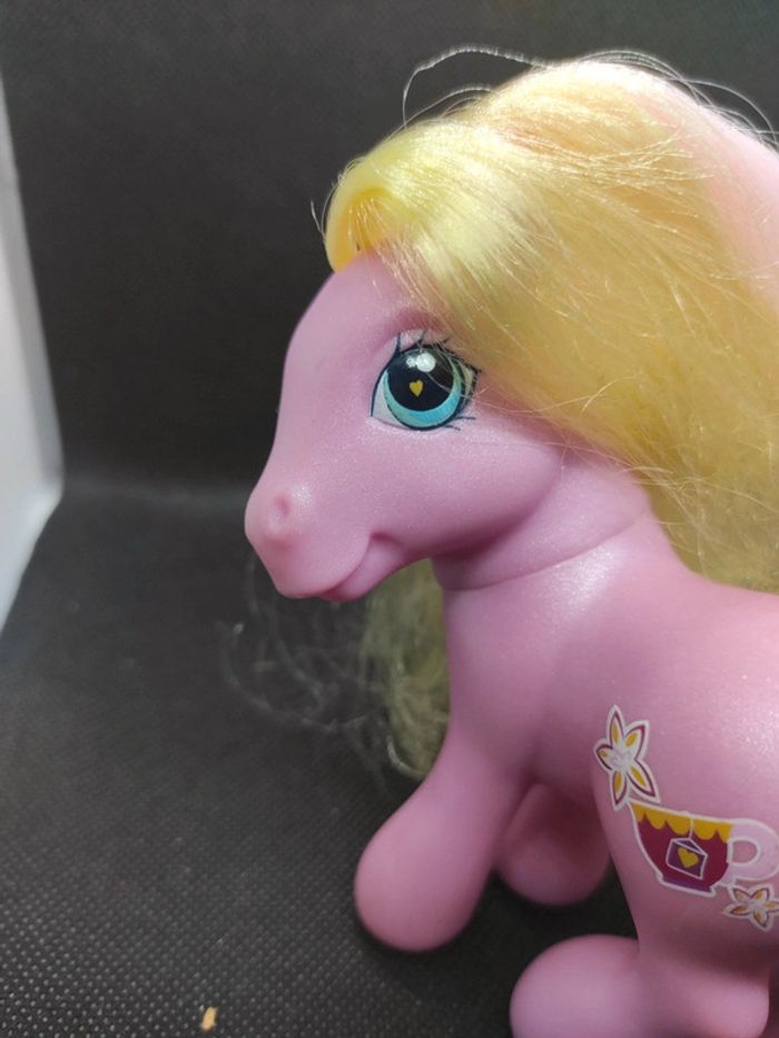 G3 My Little Pony mein kleines Poney mlp team leaf #geektradeponeyg3 - photo numéro 3
