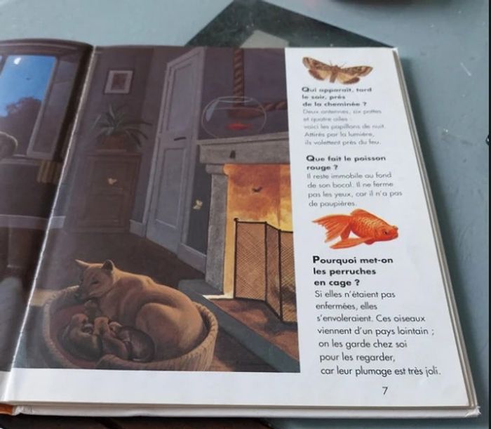 Questions réponses Mes animaux du monde - photo numéro 4