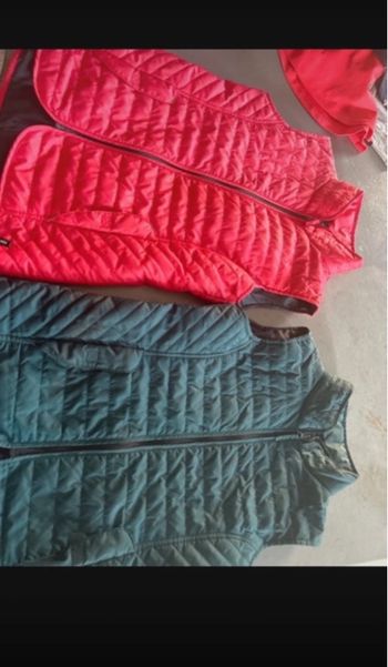 2 veste manche courte équitation