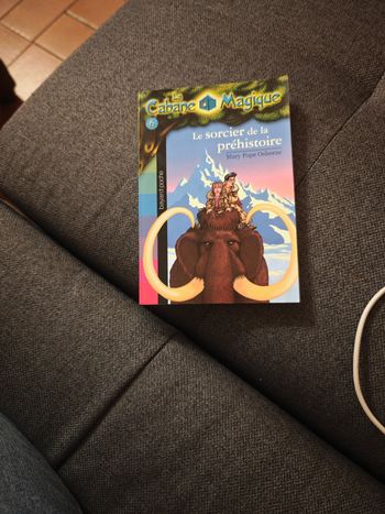 Le sorcier de la préhistoire (La Cabane Magique)