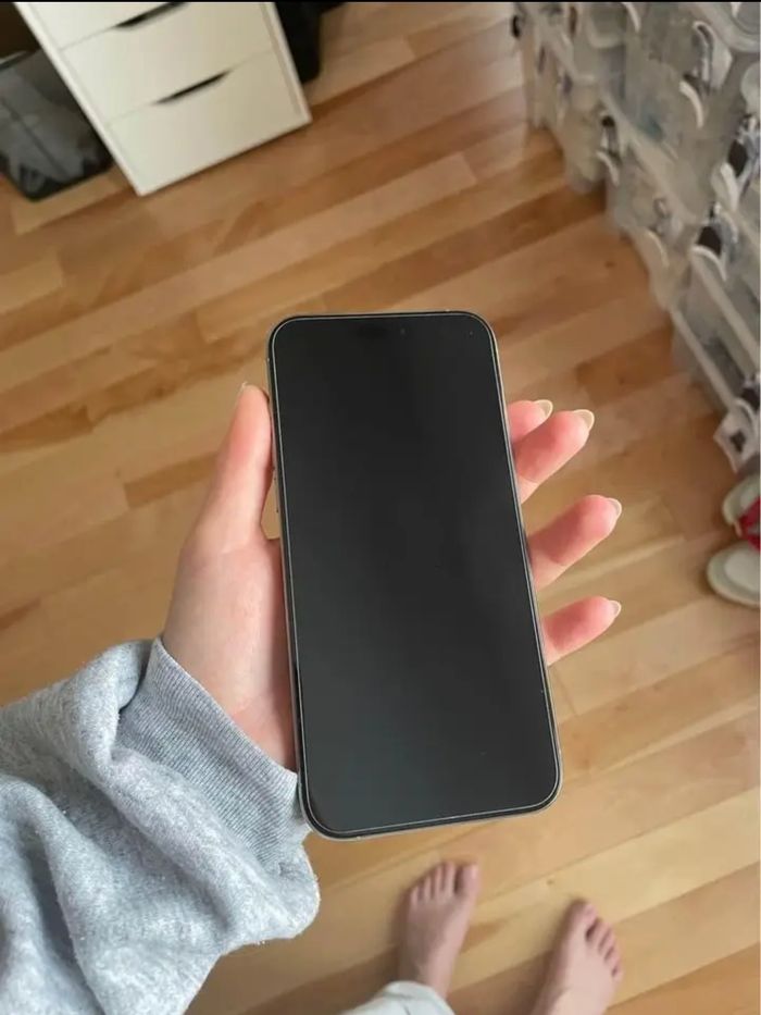 Iphone 15 pro max - photo numéro 2