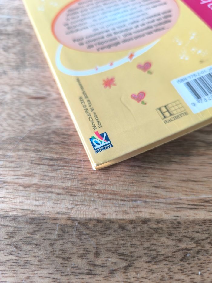 Winx le mariage de brandon - photo numéro 3