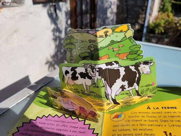 Livre animé Pop-up, tirettes, roues.. Le Livre des Croc, Crunch, Slurp! - photo numéro 10