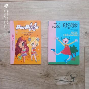 Lot de 2 livres bibliothèque rose