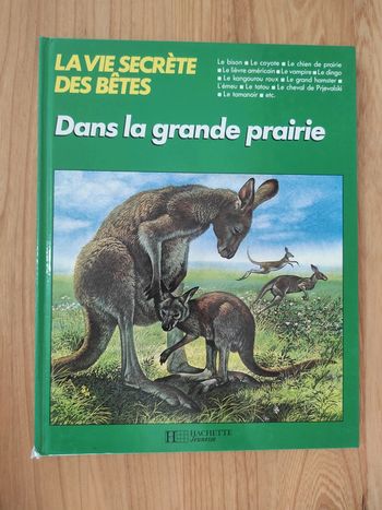 Dans la grande prairie