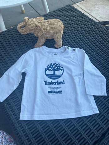 TEE shirt manche longue timberland