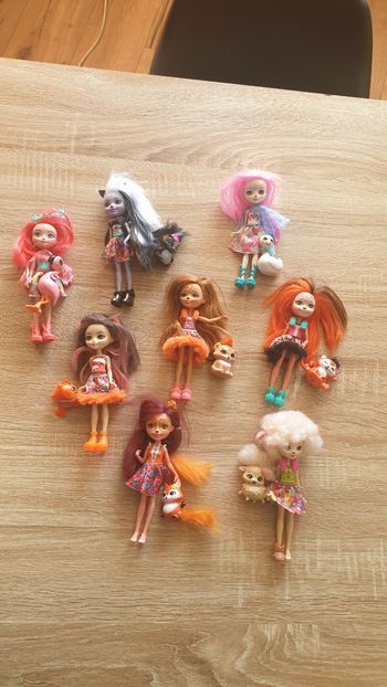 Lot poupées enchantimals