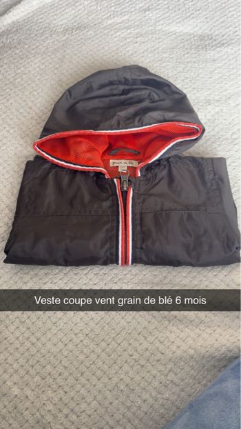 Veste 