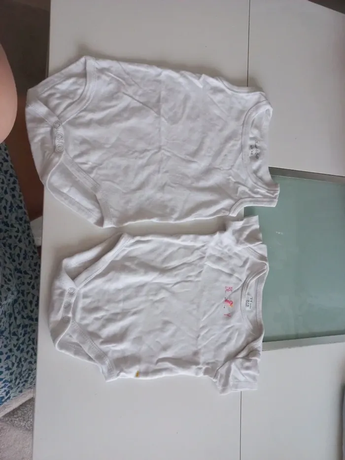 Bodies