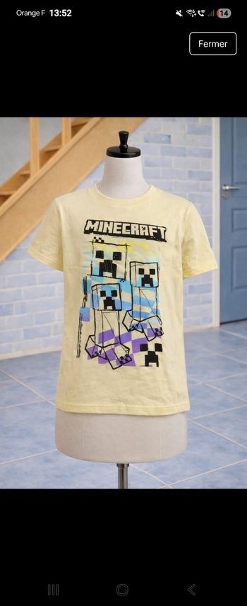 Joli tee shirt minecraft 