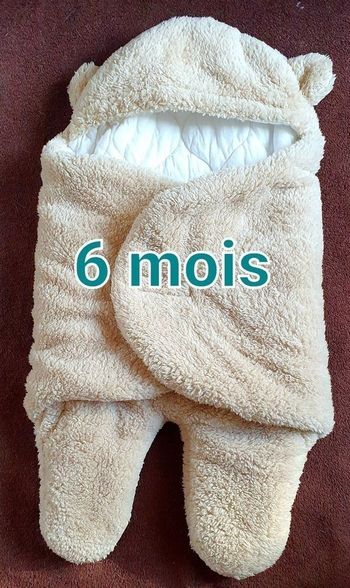6 mois