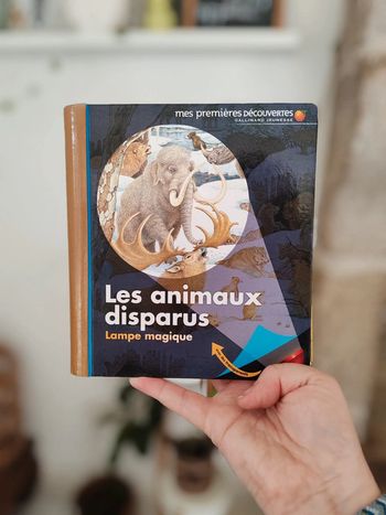 Livre les animaux disparus lampe magique