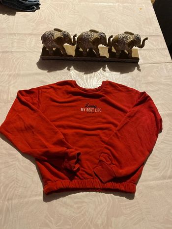 🌺pull crop top taille XXS🌺