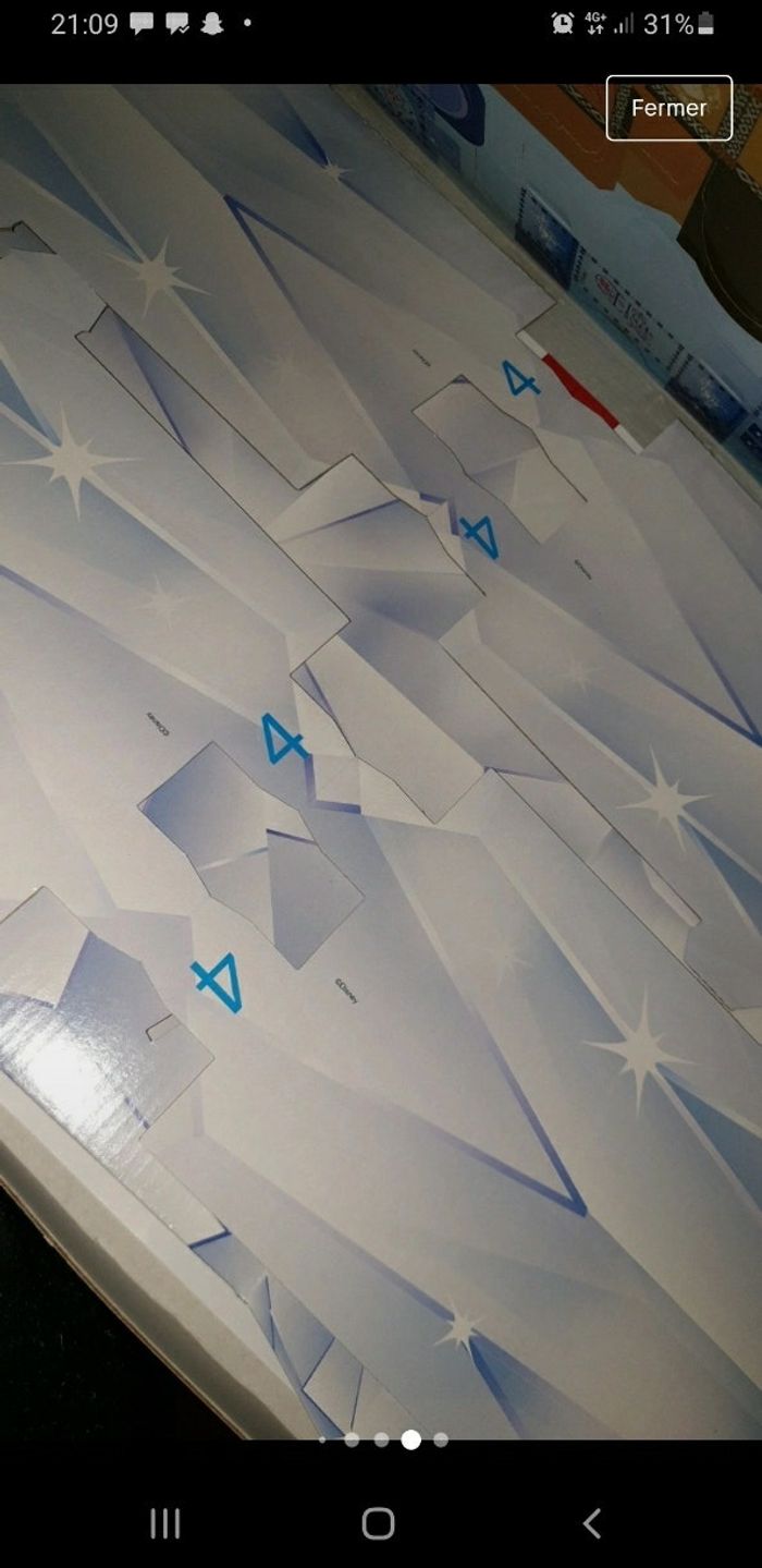 Reines des neiges - photo numéro 3