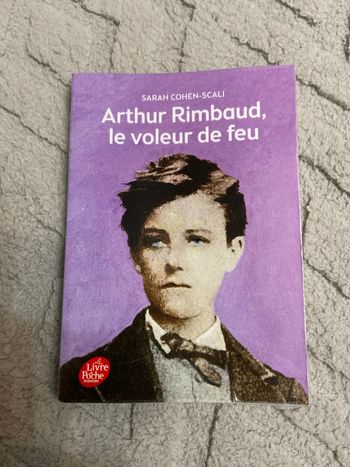 Arthur Rimbaud, le voleur de feu de Sarah Cohen Scali