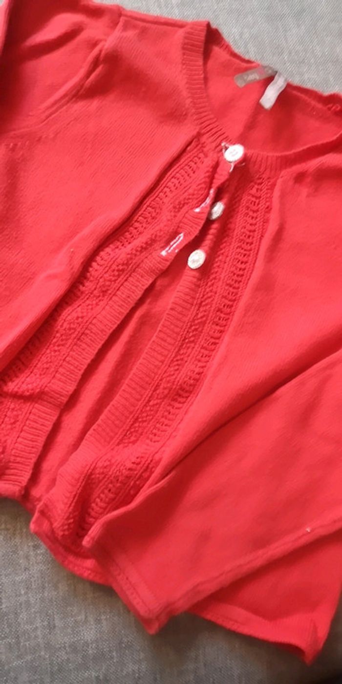 Gilet - photo numéro 2