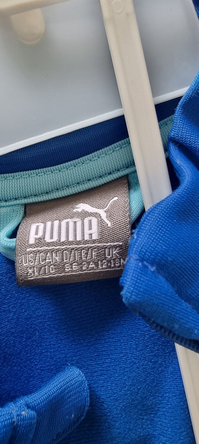 Ensemble puma - photo numéro 2