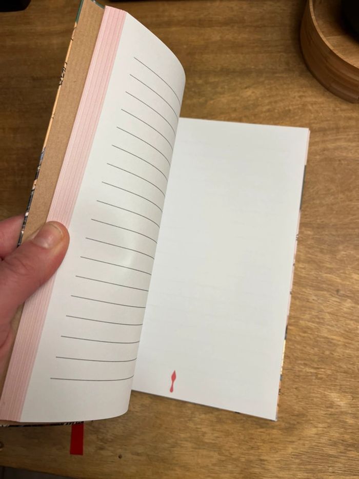 Cahier de notes collector Louboutin - photo numéro 4