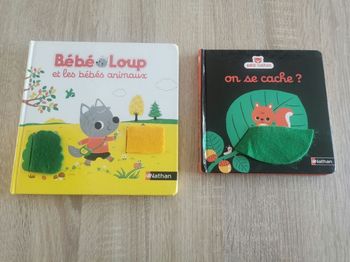 Lot de livres pour bébé avec flaps en feutrines