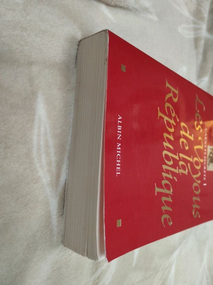 Les voyous de la république - photo numéro 4