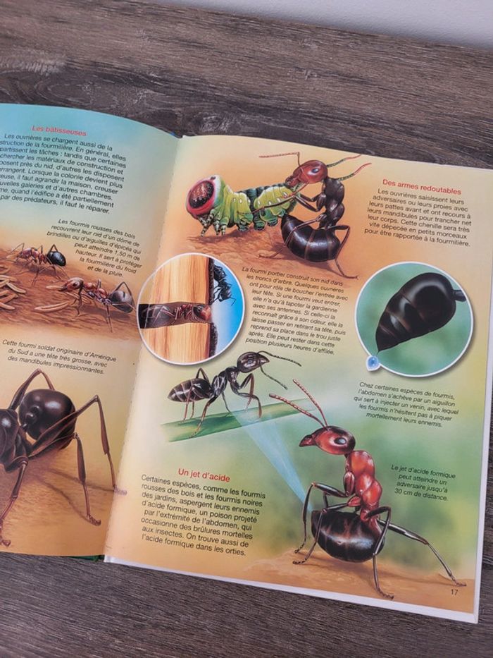 La Grande Imagerie- Les fourmis - photo numéro 2