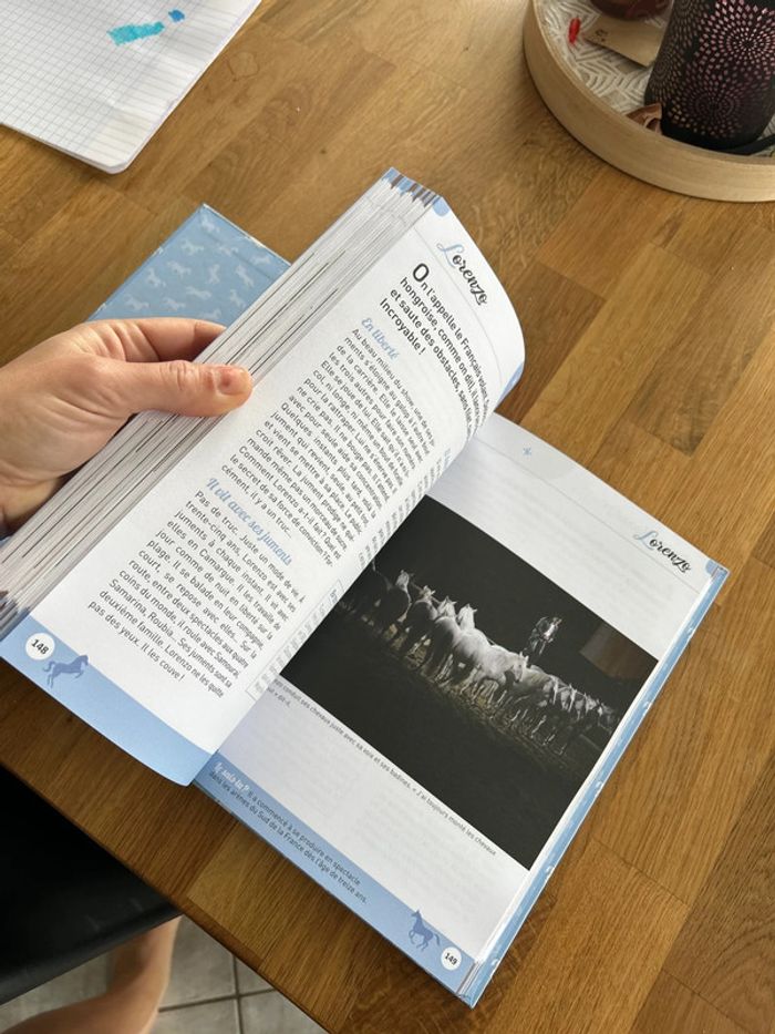 Encyclopédie de l’équitation - photo numéro 3