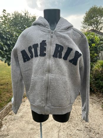 Gilet zippé du parc Astérix taille 6/8 ans