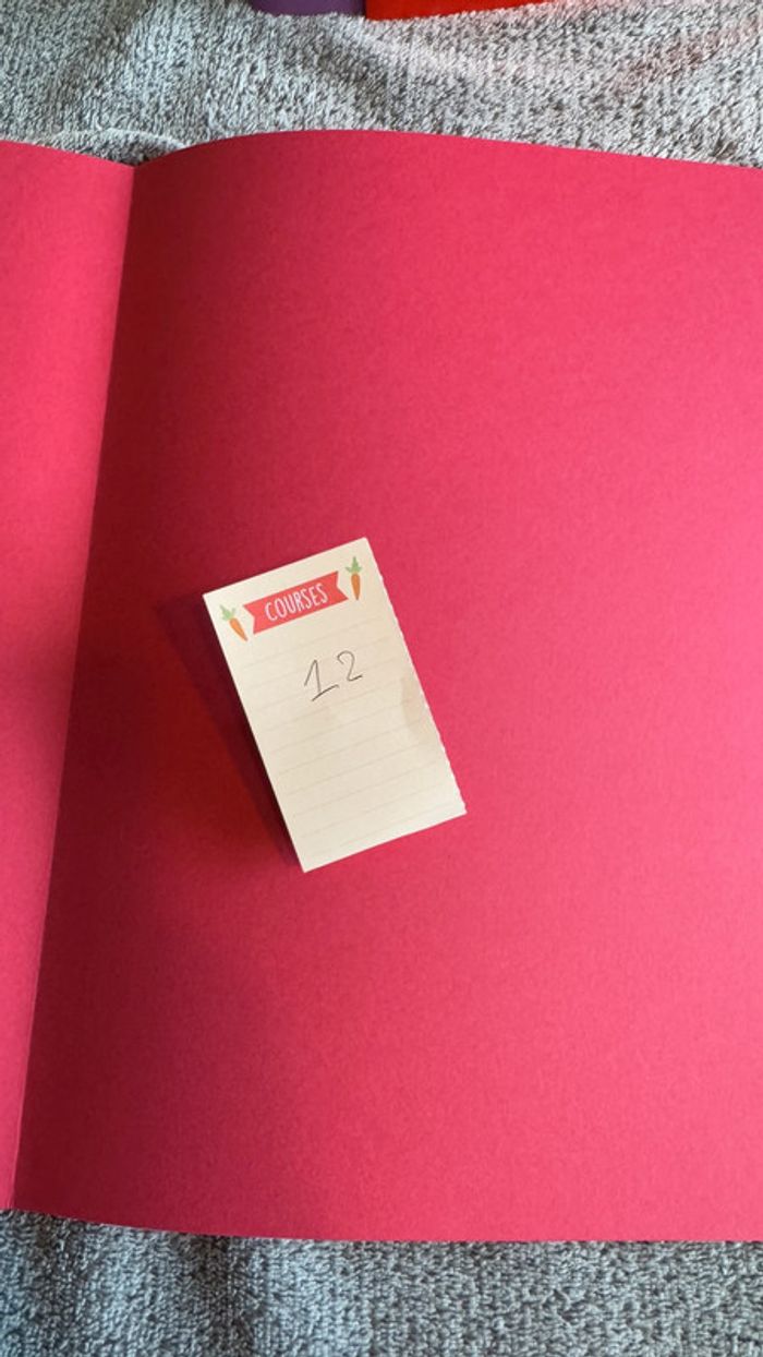 Ensemble de 12 chemises rigides rose - photo numéro 5