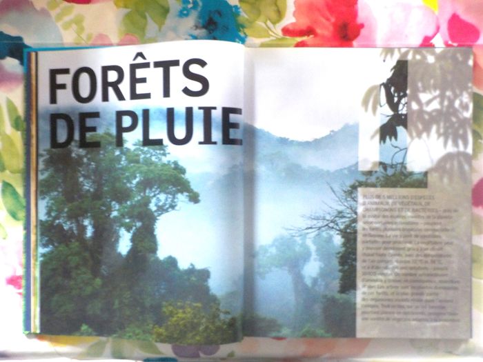 LES FORETS PLUVIALES Ed. Sélection du Reader's Digest - photo numéro 9