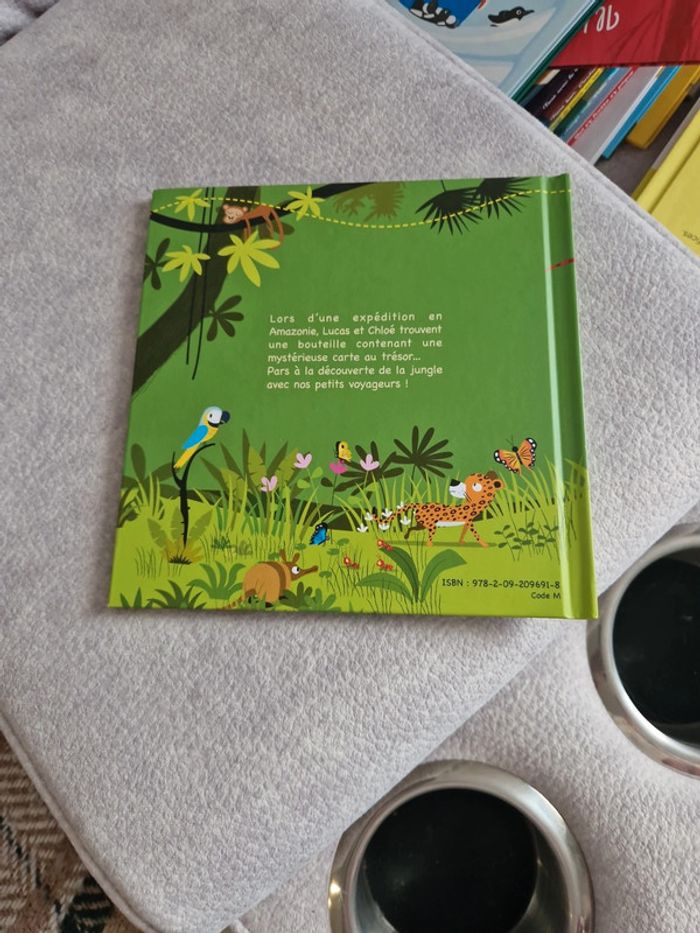 Le trésor se la jungle - photo numéro 2