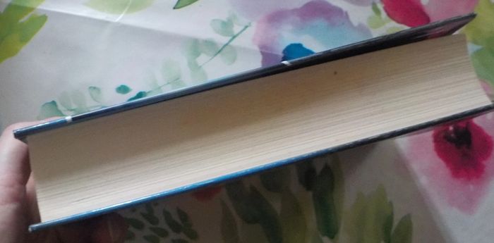 La Prophétie des Glaces de Bernard Simonay Ed. France Loisirs - photo numéro 4