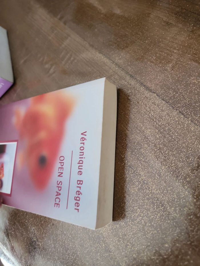 Livre Open space - photo numéro 7