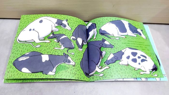 🌺 Livre (école des loisirs) : Bonjour, les vaches - photo numéro 2