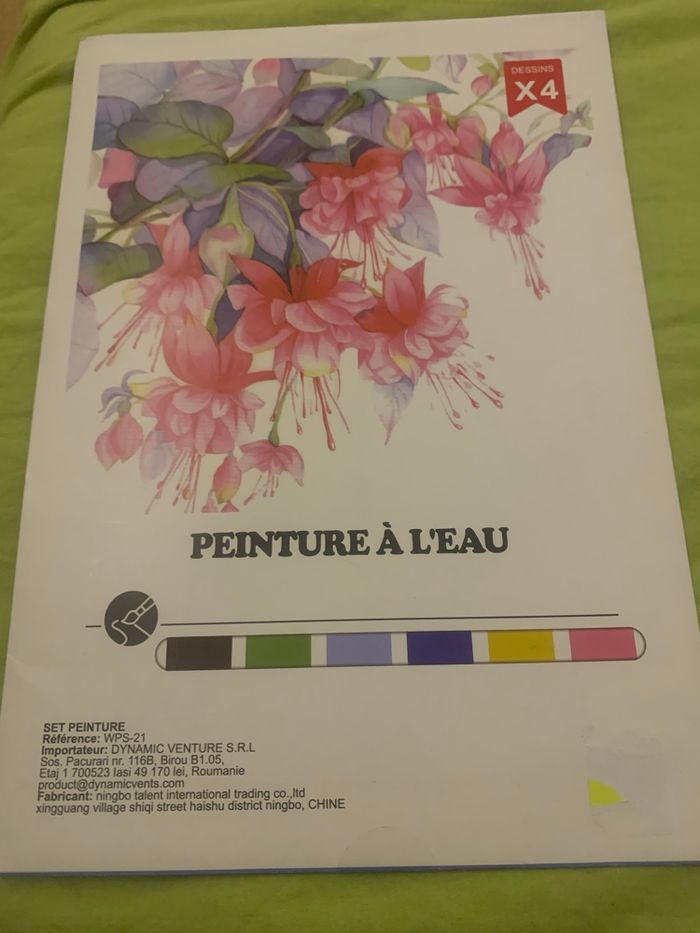 Toile peinture à l’eau avec accessoire