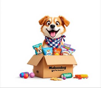 Box surprise pour chien 🐶