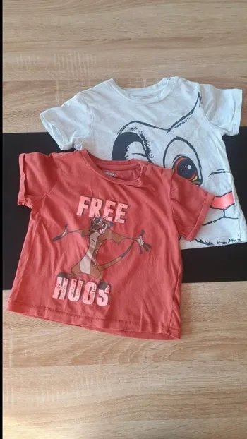 Lot 2 tee-shirts manches courtes 23 mois