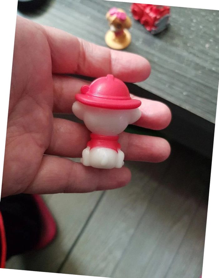 Marcus pat patrouille - photo numéro 2