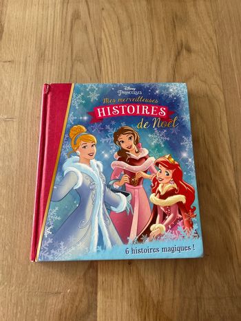 Livre princesses Disney