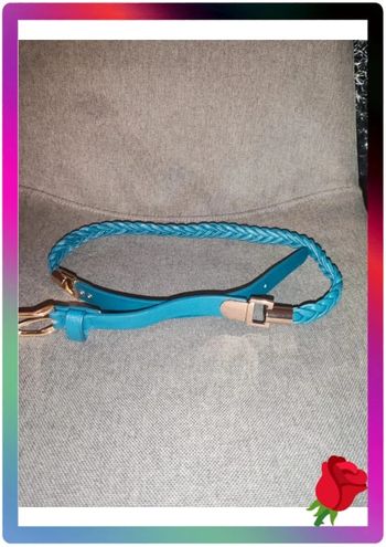 Ceinture bleu