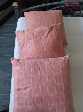 3 coussins décoratifs