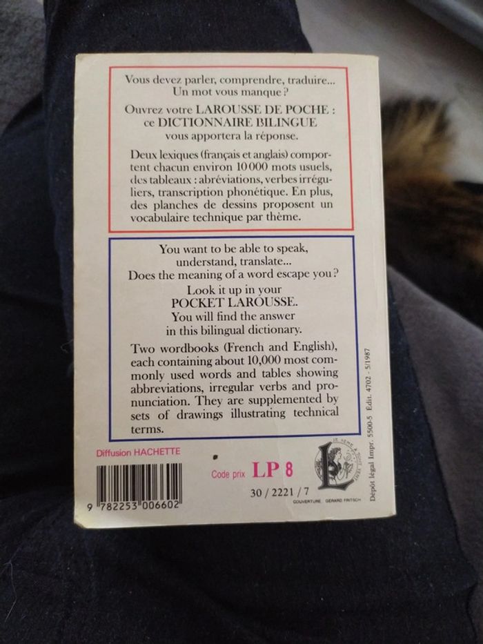 Dictionnaire bilingue - photo numéro 2