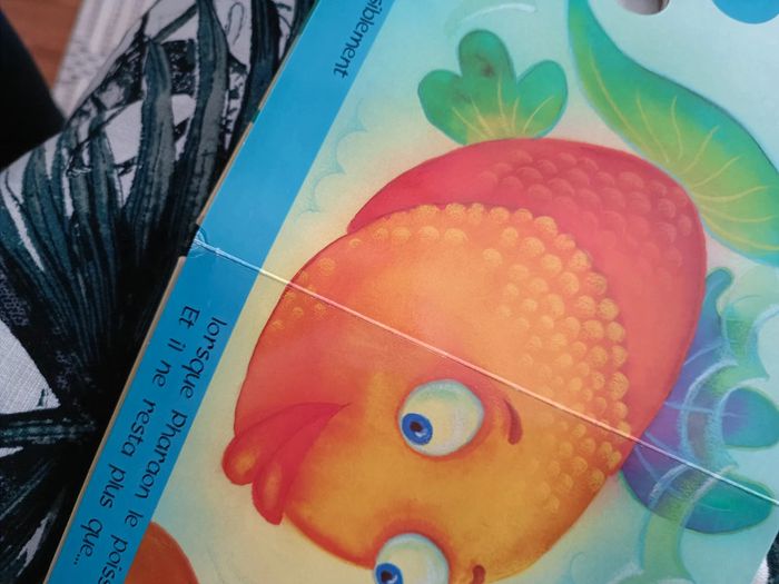 Livre Dix Petites Coccinelles 🐞 - photo numéro 5